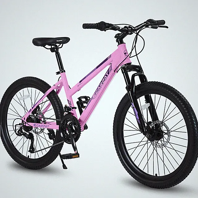 24" Mountain Bike for Women Girls, Shimano 21 Speeds, Disc Brakes, White/Pink