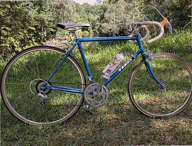 Terry Despatch Women’s Road Bike XS Fully Restored
