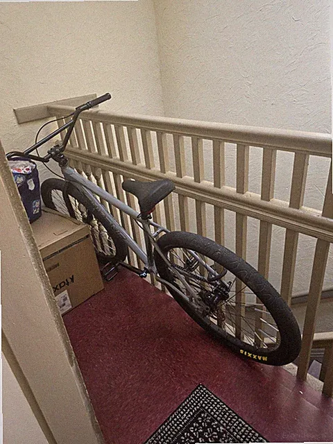 Throne The Goon, Concrete Grey, 29-inch BMX